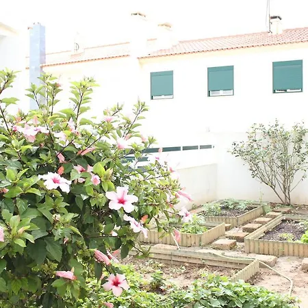 Canas House - Al * Areia Branca